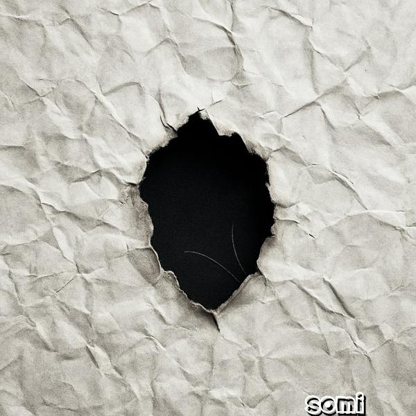 Image Cover